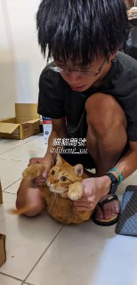 [photo](media:AgACAgEAAx0CPZbPgAABFXrhX2-HUy1CHsCKZKyHvQ-LhPux2kkAAqCoMRup0YFHDxkmfgF2-U-LtW4GAAQBAAMCAANtAAPdMAUAARsE@telegram)
