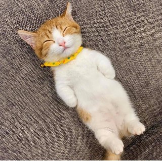 [photo](media:AgACAgEAAx0CPmz7HwABA6OrXxrx_Mfbkr1uQKPXur9HelF2HDUAAqaoMRvdrtlEjpeIttDzE3hAvW4GAAQBAAMCAANtAAPf8gMAARoE@telegram)