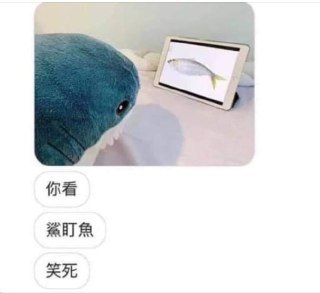 [photo](media:AgACAgEAAx0CPmz7HwABBA-3YDSXUEug80tL909l3Fhli_qoR2YAAkmpMRsKKKBFE8P-dek35sQ2EM1KFwADAQADAgADbQADoGcBAAEeBA@telegram)
