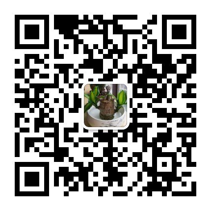 [photo](media:AgACAgEAAx0CPulWcgACpcFgB-W17oU3e06IW13VSmyNsuexVAACc6kxG-MRQER1yMb0UklGFH2WzkoXAAMBAAMCAAN4AAMyswACHgQ@telegram)
