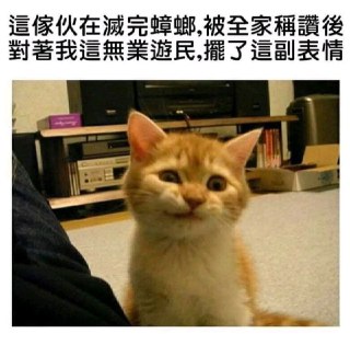 [photo](media:AgACAgEAAx0CPyvoigABAwkDXrZ3my86XNtFXh11CZdCQoyZ5-QAAkKoMRtslLBF0YDcvZ_K89sCuW4GAAQBAAMCAANtAAP3mgIAARkE@telegram)