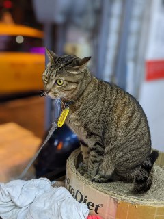[photo](media:AgACAgIAAx0CPZbPgAABFreGYEDtQlwloqun1SPi71U8pGVxIOkAAkmxMRt6fwABSnh3eoxKfg4e0eyKni4AAwEAAwIAA20AAwQfAwABHgQ@telegram)