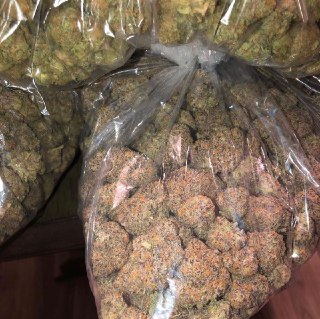 [photo](media:AgACAgQAAx0CPyvoigABAtk2XkLZOeRUzWGcaAYhe_3DpyPzSXgAAvGyMRuRHBlS_-DoKRSxhaUbZagbAAQBAAMCAANtAAO-yQcAARgE@telegram)