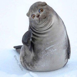 [photo](media:AgACAgUAAx0CPZbPgAABF1OjYH5sKTFApkO9fY7wOHwVm5V3axkAAsysMRu2vfBX-z2ag1HodF6UX6ludAADAQADAgADbQADi_ADAAEfBA@telegram)