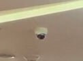 [photo](media:AgACAgUAAx0CPZbPgAABF1gbYH7hhEnZUOELhTlLJ-VsOn9jjmAAAgSsMRu2vfhXtQ3m8AsNPRMd8edudAADAQADAgADbQAD8vMDAAEfBA@telegram)