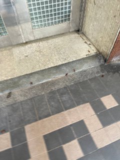 [photo](media:AgACAgUAAx0CPZbPgAABF4MxYItvVkEn1TWHsWjIb7SDcKbKdogAAqCsMRsvpmBUO8LqCF6tl_GGzCVtdAADAQADAgADbQAD_mQFAAEfBA@telegram)