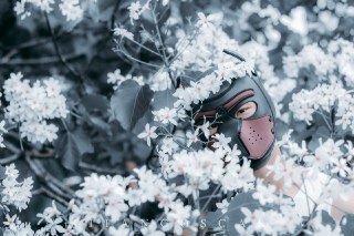 [photo](media:AgACAgUAAx0CPZbPgAABF5ocYJPEosHKYWoI1xEMNCuz-c2L8OAAAk6sMRuGPqBU-VFXSegLX99wF79vdAADAQADAgADbQADCGwEAAEfBA@telegram)
