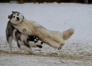 [photo](media:AgACAgUAAx0CPZbPgAABF7RMYJuDuwOIrJt6TFf8Ip1BRTyLQRMAAuyrMRt7xtlUnZdn0Tk7i8RgYqludAADAQADAgADbQADSo4EAAEfBA@telegram)