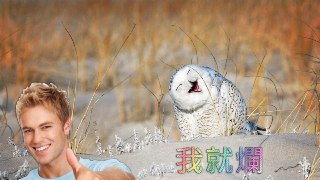 [photo](media:AgACAgUAAx0CPZbPgAABFNXaXrbB4eQp12QDcbomF8tGOVYGW14AAo-qMRs-XLhV_oExGkX8p4tPpuxqdAADAQADAgADbQAD6b8AAhkE@telegram)