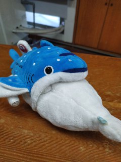 [photo](media:AgACAgUAAx0CPZbPgAABFU65XzjcYnfXiHAosMFrOqJbL26TYWEAApCqMRtOjshVN4fUZ5IIsn9p1QABbHQAAwEAAwIAA20AA4xrAQABGgQ@telegram)