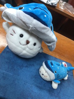 [photo](media:AgACAgUAAx0CPZbPgAABFU6_XzjeCSnMHc7iEwsOFlnoFYOK4PcAApWqMRtOjshVbFQhFfhnTCMUE0psdAADAQADAgADbQADw1gAAhoE@telegram)