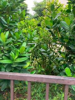[photo](media:AgACAgUAAx0CPZbPgAABFWIWX1IJaDy9WPlQHJh20aR0FS_7J0QAAnmqMRuk9JFWvugM26UPbe34MWVrdAADAQADAgADbQADUVkGAAEbBA@telegram)