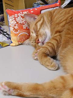 [photo](media:AgACAgUAAx0CPZbPgAABFZmFX5Bki3xeAWHu5YKP3q7YEsDPSpYAAtmqMRsm-4BU2wjsTt_Huol0L1BsdAADAQADAgADbQAD9sEDAAEbBA@telegram)
