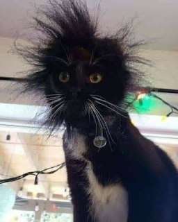 [photo](media:AgACAgUAAx0CPZbPgAABFaTXX5cCeaeDjMpOJpTzGob4PBH-QBkAAhqrMRvxkLlUU_IVbU3oRahIXAJsdAADAQADAgADbQADsiAFAAEbBA@telegram)