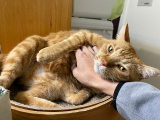 [photo](media:AgACAgUAAx0CPZbPgAABFgEgX944hvCLqVAdJ4usInTrDAhKUUoAAi-rMRsdIPFWQ2fFe1cWIskNrsVsdAADAQADAgADbQADClYFAAEeBA@telegram)