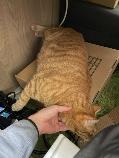 [photo](media:AgACAgUAAx0CPZbPgAABFgmsX-Cc0vTxblDZSfZMftmaHPtokfsAAvarMRvySQlXiypP9jO8xSFinA9vdAADAQADAgADbQADN6AAAh4E@telegram)