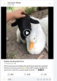 [photo](media:AgACAgUAAx0CPZbPgAABFhUSX-SmGni7B8TTrSq6wPXTgsH4CH4AAverMRsX9ShXFVTq25CyopShOjRvdAADAQADAgADbQADtngAAh4E@telegram)