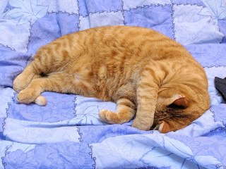 [photo](media:AgACAgUAAx0CPZbPgAABFjFTX_Lmf4D3HU-jSjHGxU9yN_zyXSIAAgusMRsYDplXlLhZHtwPSgqGMRRvdAADAQADAgADbQADlxEBAAEeBA@telegram)