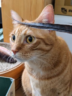[photo](media:AgACAgUAAx0CPZbPgAABFjfEX_SsJAHd7C67hsdgIyrtZEtAs24AAviqMRt2DKhXdtNUeaidnb2x29ltdAADAQADAgADbQADurkCAAEeBA@telegram)