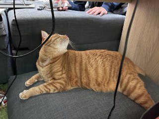 [photo](media:AgACAgUAAx0CPZbPgAABFlBGYAv4NzfwYbdsoYrljz1ha0w_-ooAAu6qMRt962FU1w9N6PT-Zeqm0sxvdAADAQADAgADbQADTHsAAh4E@telegram)