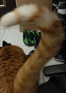 [photo](media:AgACAgUAAx0CPZbPgAABFlBbYAv5IfaZZhy0A9cXa_N-HourgHcAAtSqMRtkCCBUPdqN9Y9WmjYQctRvdAADAQADAgADbQADvUoAAh4E@telegram)
