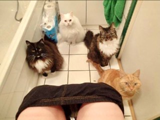 [photo](media:AgACAgUAAx0CPZbPgAABFmiAYCOyhFC7JqguNyg-C5TUgIhiKMkAAtWrMRuCfhlVCNPK_kuqPJJPCDtxdAADAQADAgADbQADIEkAAh4E@telegram)