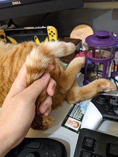 [photo](media:AgACAgUAAx0CPZbPgAABFnyUYCenTn4it06OfvqLipo9BIGj3CgAAterMRtJAAFBVfpW7pSPNN1FkLVicXQAAwEAAwIAA20AA1BSAAIeBA@telegram)