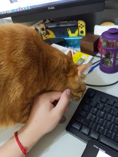 [photo](media:AgACAgUAAx0CPZbPgAABFoWmYCv067PjM7EAATR1A_I07tU4bittAAJirDEb4A9gVQg_TgVPukiQkqdCcXQAAwEAAwIAA20AAyplAAIeBA@telegram)