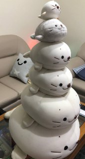 [photo](media:AgACAgUAAx0CPZbPgAABFodCYCzhjhafiI4k7D9kxfgZQvY-BvAAAo6rMRvgD2hVCRL1KHFQNVlswoRudAADAQADAgADbQADLmwAAh4E@telegram)
