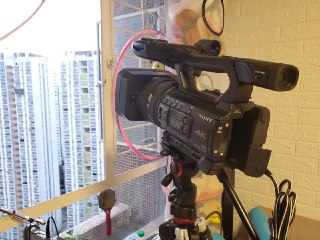 [photo](media:AgACAgUAAx0CPZbPgAABFp47YDjYDk7EfHrAVKWNkQ8vL2xQcJcAApqsMRuScblVTbl9MbCqvwHgduludAADAQADAgADbQAD5mYCAAEeBA@telegram)