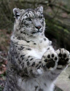 [photo](media:AgACAgUAAx0CPZbPgAABFph4YDXdJe2vqSQAAfjKaRzb_dNYsCpeAALkrDEbz1WoVSPlZ24ypPMtkewEb3QAAwEAAwIAA20AA2WaAAIeBA@telegram)