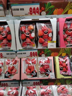 [photo](media:AgACAgUAAx0CPZbPgAABFrCGYD5NEP9TXDldBUFhyQs6XvWjNBAAAtisMRviGfFVwjP_KOxaFc2_ArFudAADAQADAgADbQADCqgCAAEeBA@telegram)