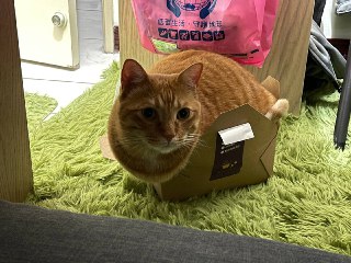 [photo](media:AgACAgUAAx0CPZbPgAABFrkJYEE3MQ1PRoJP8IQJHgSGrvNMAAG_AAL5qzEbFKkIVlb0ZfV5lZUmqtT-bnQAAwEAAwIAA20AA0zMAAIeBA@telegram)