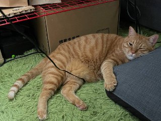 [photo](media:AgACAgUAAx0CPZbPgAABFrkPYEFo-yc5B0OYtRtlMZPhuw-a4nUAAv-rMRsUqQhWrLeYTW7On1bqT8NudAADAQADAgADbQADXMEAAh4E@telegram)