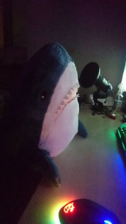 [photo](media:AgACAgUAAx0CPZbPgAABFsHxYET2BwdQP17Nkl6Ov9pVAeoNWioAAjarMRtWCyhWjuO3saT9yZ1hOyFtdAADAQADAgADbQADZhEEAAEeBA@telegram)