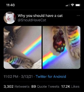 [photo](media:AgACAgUAAx0CPZbPgAABFtCKYEzdMYIugOf66BxNK7-UW0dDqO4AAgSsMRuRtmlW_3hdP60fcBqtLDFvdAADAQADAgADbQADWcACAAEeBA@telegram)