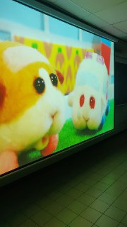 [photo](media:AgACAgUAAx0CPZbPgAABFwACYGWSqk9jLlwxv3MnhtDXr-s1a4wAAjusMRs1oilXY_Qf1TTpMKQ_ng9vdAADAQADAgADbQAD54gDAAEeBA@telegram)