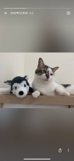 [photo](media:AgACAgUAAx0CPZbPgAABFwgGYGe4kqUJGTzqAtdHAAEGggPfjt6rAAOuMRsk8DlXqmCd39Y-9Gyu26dudAADAQADAgADbQADf5kDAAEeBA@telegram)