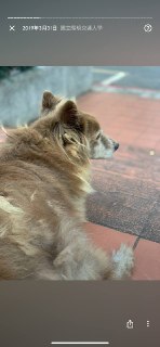 [photo](media:AgACAgUAAx0CPZbPgAABFwgLYGe46HdotYI1A9ReoRB6ETpn6mYAAgOuMRsk8DlX7DIOZMR-ova2m8BvdAADAQADAgADbQADpyADAAEeBA@telegram)