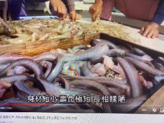 [photo](media:AgACAgUAAx0CPZbPgAABFyrdYHMR8fPTMrcdtVRQur0EVhQX1ssAAmSsMRugaplX6nFth_QlK8daobhudAADAQADAgADbQADz_UDAAEeBA@telegram)