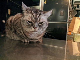 [photo](media:AgACAgUAAx0CPZbPgAABFz9NYHkV9munDf0acnYPSVRLMiJibngAAgqsMRtOW8lXgFHbuFzkflCYGL9vdAADAQADAgADbQADlMgDAAEfBA@telegram)