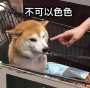 [photo](media:AgACAgUAAx0CPZbPgAABGFnWYRuEIOT9-eeQIuex4wsCwlflJTYAAmytMRt7QeFUdiUFGzg4Lb8BAAMCAANzAAMgBA@telegram)