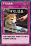 [photo](media:AgACAgUAAx0CPZbPgAABGK6oYX-jEFqqTZtqTOi4cbh_pPZRsJsAAs-wMRvp4PlXjSj4xhX8NQMBAAMCAANzAAMgBA@telegram)