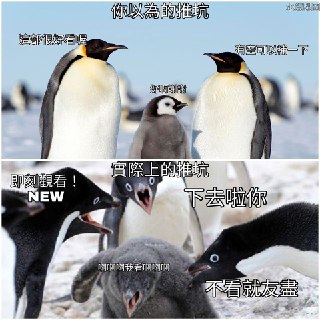 [photo](media:AgACAgUAAx0CPmz7HwABA2pSXpxYSARGTNuahBLGFbONayReZQMAAvOpMRu9uelUkwKB_tgxGlahpiUzAAQBAAMCAANtAANmDwYAARgE@telegram)