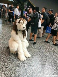 [photo](media:AgACAgUAAx0CPmz7HwABBCFcYFmmO6-ebf3Uu01_UUQmAyJotCwAAqSrMRtH3dBWtEzObuV3GSSFPBdvdAADAQADAgADbQADlEoDAAEeBA@telegram)