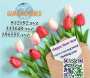 [photo](media:AgACAgUAAx0CPulWcgACtrhluem41aJ6ZbGsM2_EhUTI4Vt0BwACvLoxG1aX0VXnMnbsgt4s8wEAAwIAA3MAAzQE@telegram)