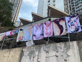 [photo](media:AgACAgUAAx0CPyvoigABAs2bXikIENriQ3fjnoQYw-JiKz-ry90AAo2pMRv_dkBVd7KmZicMjJpfPhszAAQBAAMCAANtAAO8EQMAARgE@telegram)