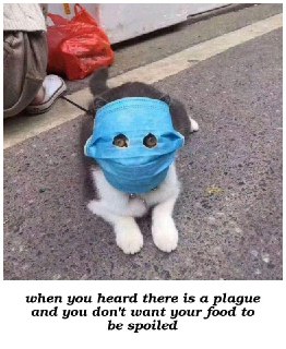 [photo](media:AgACAgUAAx0CPyvoigABAtjnXkJx2JdNF41fjwhg7CuBTrjMRO4AAo6pMRvsyBBW90g7B7odbRnHJhszAAQBAAMCAANtAAOC6QMAARgE@telegram)