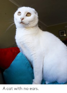 [photo](media:AgACAgUAAx0CPyvoigABAudyXmEowpo84VAewW-zyrVsv2KFVN4AAr-pMRumlwhXIkCjE4-bGfITOBszAAQBAAMCAANtAAN_zQQAARgE@telegram)