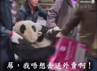 [photo](media:AgACAgUAAx0CPyvoigABAvsWXpNSxCbCvCGY4CV7PFjEGciyBCkAAq2pMRvn9JlUoN_KD5by6ejKc8NqdAADAQADAgADbQADxYsAAhgE@telegram)